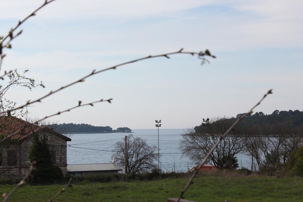 Apartment Cozy&Quiet Rovinj Dış mekan fotoğraf